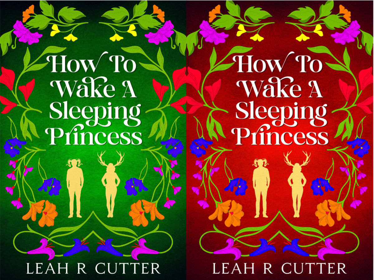 Two Covers How To Wake A Sleeping Princess
